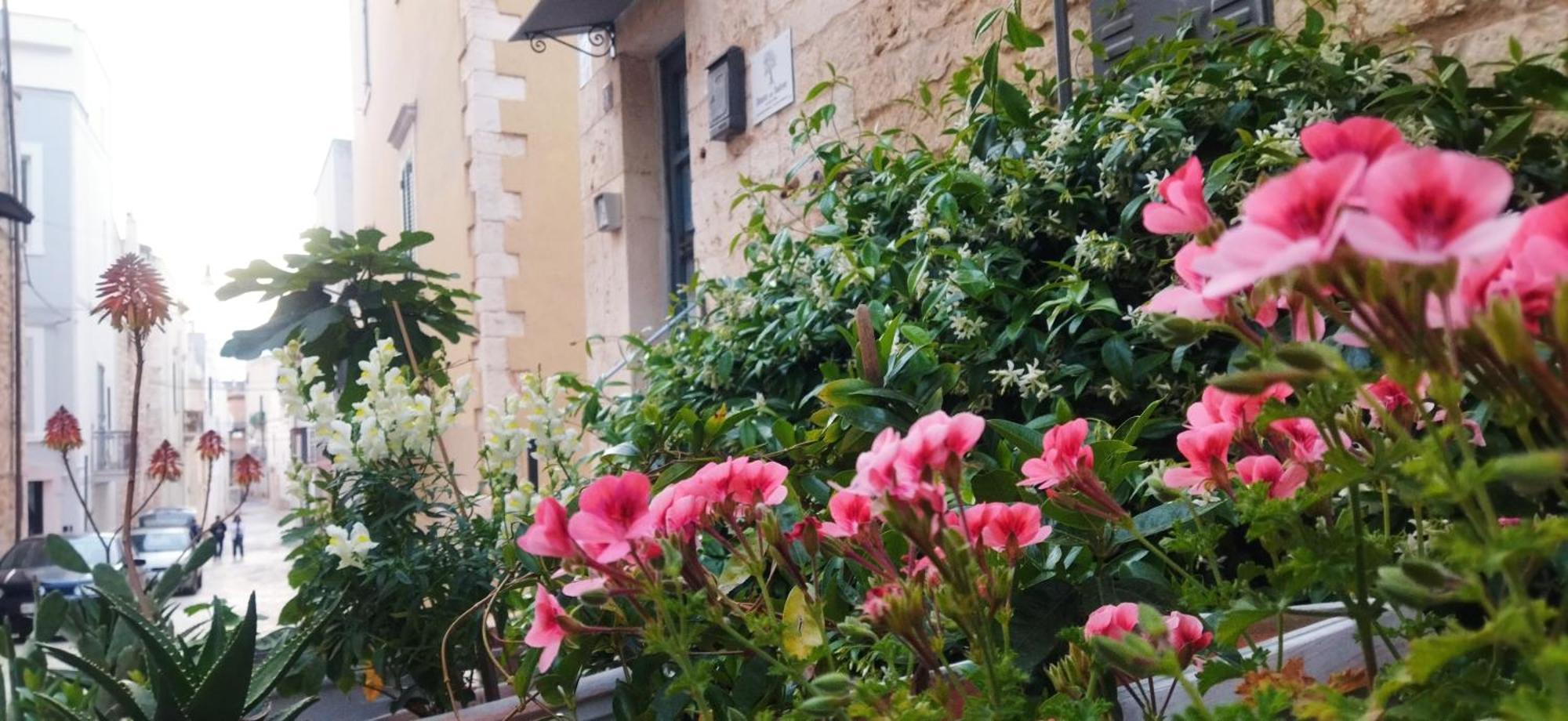 לינה וארוחת בוקר קונברסאנו Dimora Delle Badesse מראה חיצוני תמונה